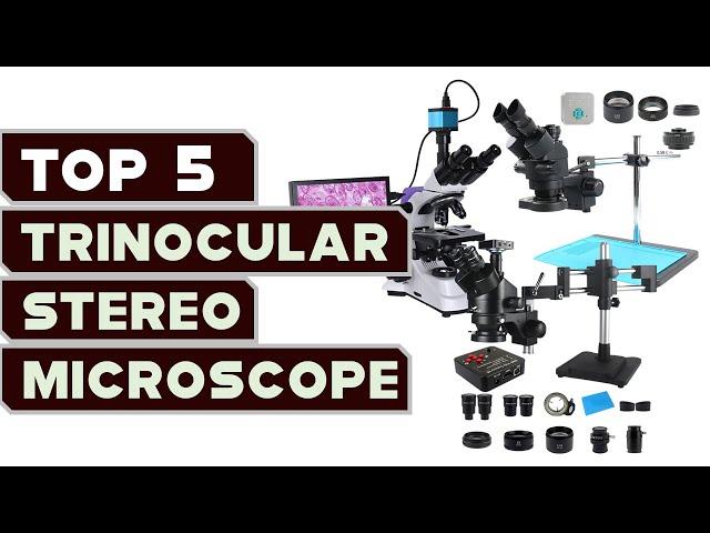 Top 5 Trinocular Stereo Microscopes: Uncover the Secrets of the Microscopic Universe in 2023!