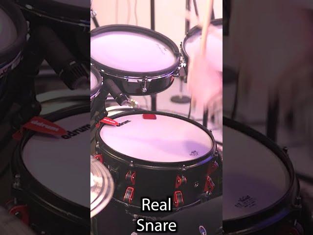 Real Snare Drum vs TRIGGERED