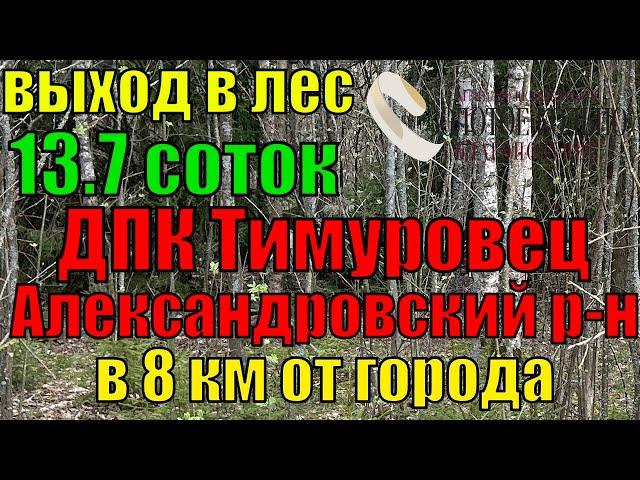 Продается  участок 13.7 соток в ДПК Тимуровец, между д.Самарино и д.Бельтеевка, Александровский р-н