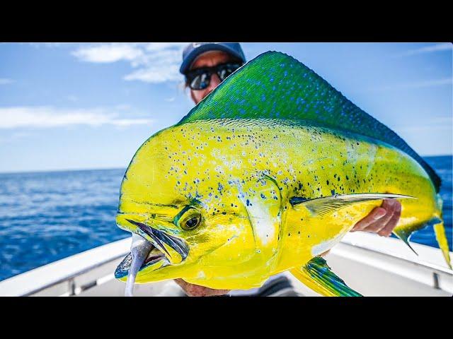 EPIC FISHING in INSANELY Clear Water! ~ One of the FASTEST Growing Fish on the PLANET!