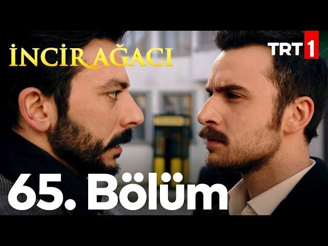 İncir Ağacı 65. Bölüm