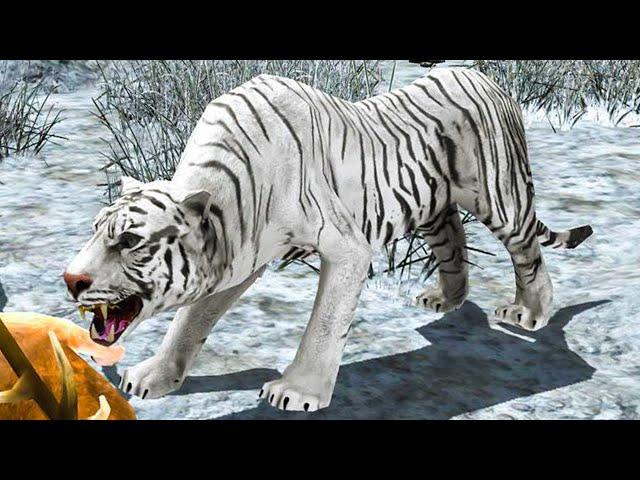 Симулятор Странного Снежного ТИГРА с Кидом #1 Баги в Arctic Tiger Simulator на ПУРУМЧАТА