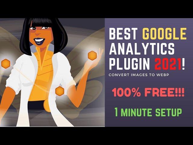 Beehive Analytics Wordpress Plugin Tutorial  Setup Google Analytics in 1 Minutes  