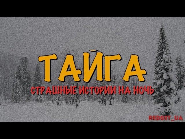 ТАЙГА | СТРАШНЫЕ ИСТОРИИ НА НОЧЬ | МИСТИКА #мистика #историинаночь #ghost