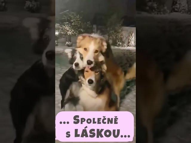 ... Společně s Láskou ️️️