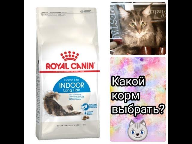 Royal Canin/Разные корма, разный эффект?/Дегустирум корм