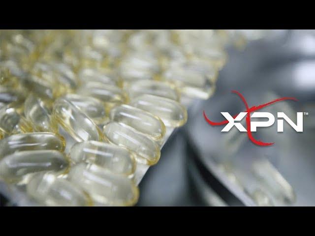 XPN - IN-HOUSE PRODUCTION (4K)