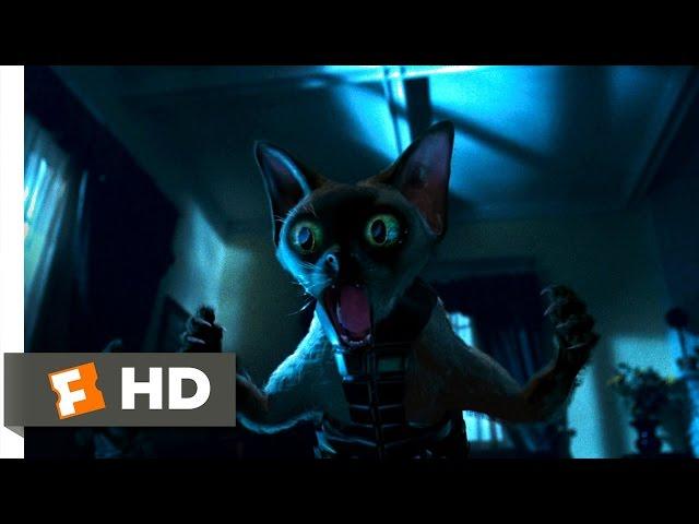 Cats & Dogs (3/10) Movie CLIP - Ninja Cats (2001) HD