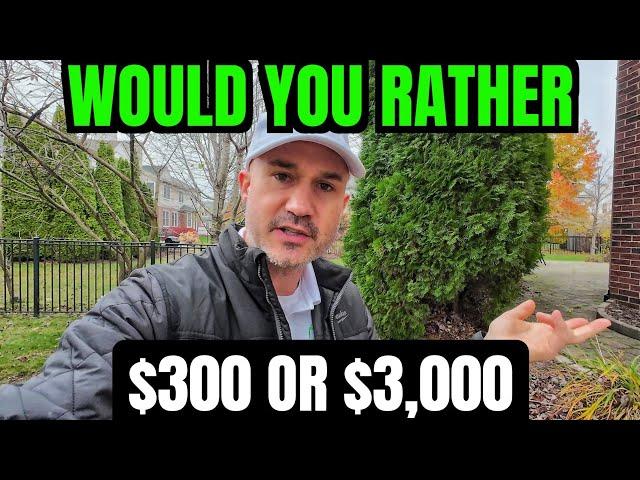 How to turn $300 Fall Cleanup into $3,000 | Offer This Everytime ..