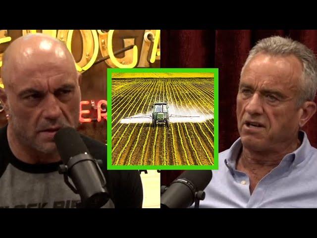 Robert Kennedy, Jr. On Suing Monsanto and The Dangers of Round-Up