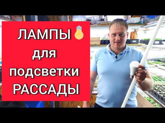 Лампы для подсветки рассады