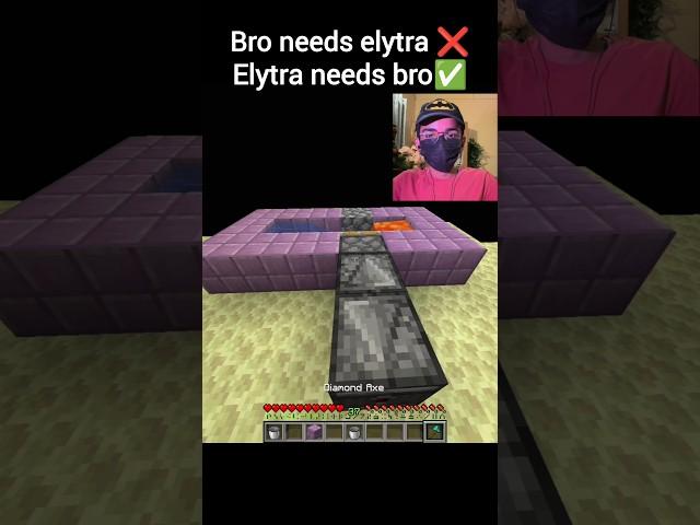 Minecraft Elytra Moment