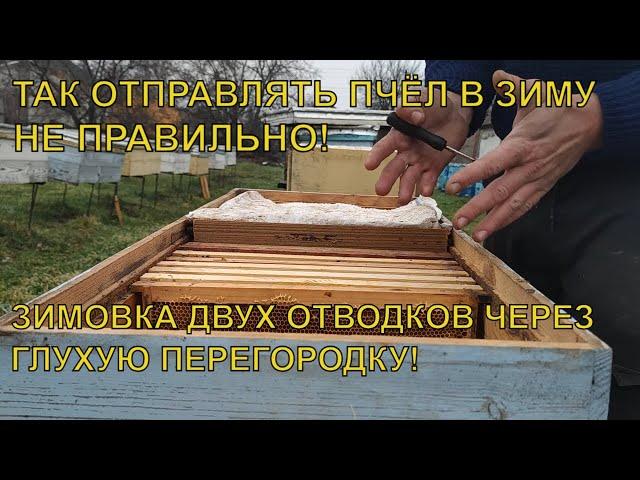 Не правильная зимовка пчёл через глухую перегородку️