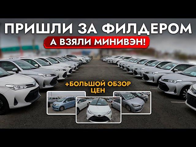 ВЫБИРАЕМ УНИВЕРСАЛ️ БОЛЬШОЙ ОБЗОР РЫНКА И ЦЕН ОКТЯБРЬ 2024️ FIELDER, LEVORG, VITZ, FORESTER, XV