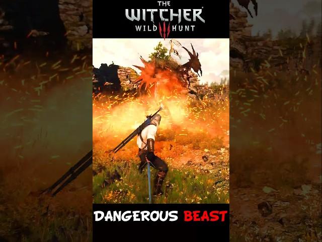 ️DANGEROUS BEAST️ #shortsvideo #shorts #short #shortvideo #witcher #witcher3 #wildhunt