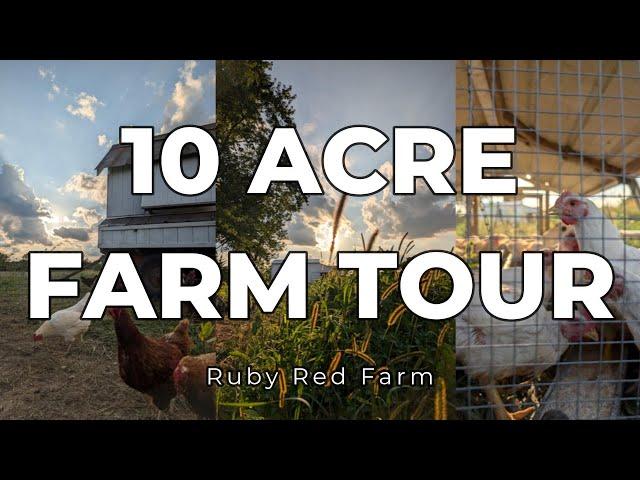 10 Acre Homestead Tour | Full Look at Our Small Farm | Chickens, Pigs, Turkeys, and Garden Ep. 52