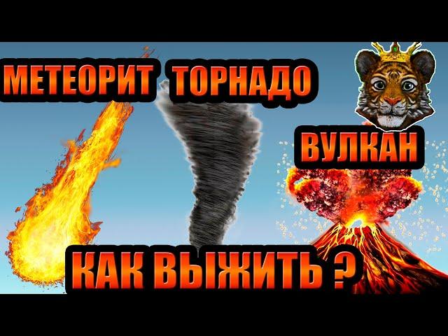 Пытаюсь выжить в природных катастрофах в Роблоксе | Roblox Natural Disaster Survival