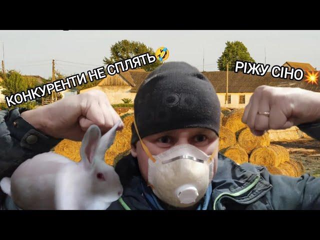 КОНКУРЕНТИ СКУПИЛИ ВСЮ ЛЮЦЕРНУ В РАЙОНІ | МІКСУЮ СІНО. ЛАЙТОВА ІСТОРІЯ