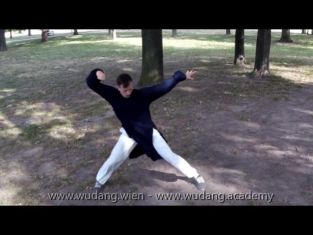 Fu Hu Quan - Wudang Academy Vienna - Master Ziji