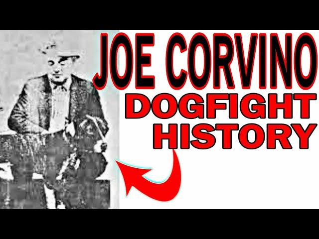 Dogmen - Joe Corvino's - Fighting Dog Breeder - Pitbull History #pitbull #apbt