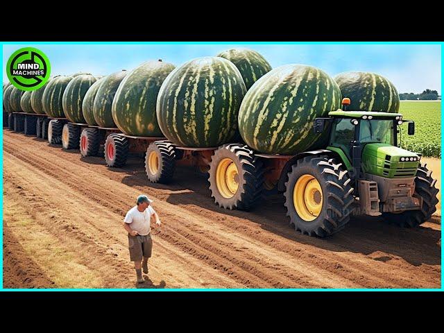 The Most Modern Agriculture Machines That Are At Another Level, How To Harvest Mangoes On Farm