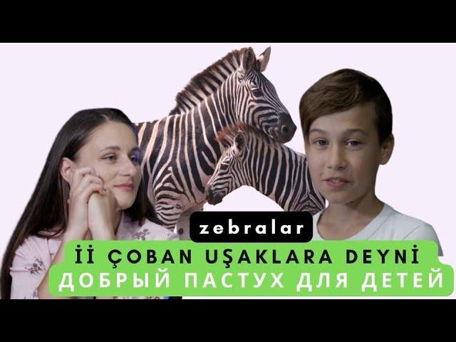 Zebralar || İi Çoban UŞAKlara deyni || Добрый Пастух для ДЕТЕЙ