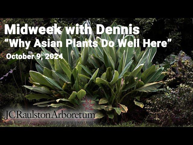 Midweek with Dennis - "Why Do Asian Plants Do So Well in the Southeastern US?"