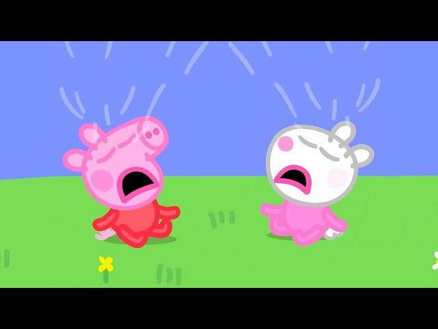 Baby Peppa And Baby Suzy!  | Peppa Pig Official Full Episodes