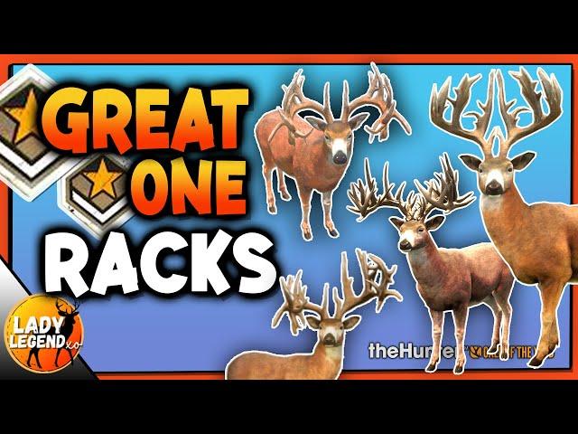 So Many Whitetail GREAT ONE RACKS!!! - Call of the Wild