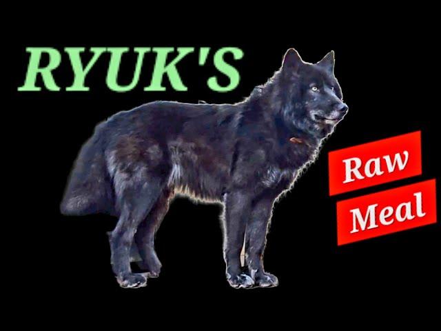 My Dogs RAW FOOD Meal Today - Rainstorm Mukbang