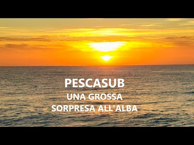 Pescasub: UNA GROSSA SORPRESA ALL' ALBA