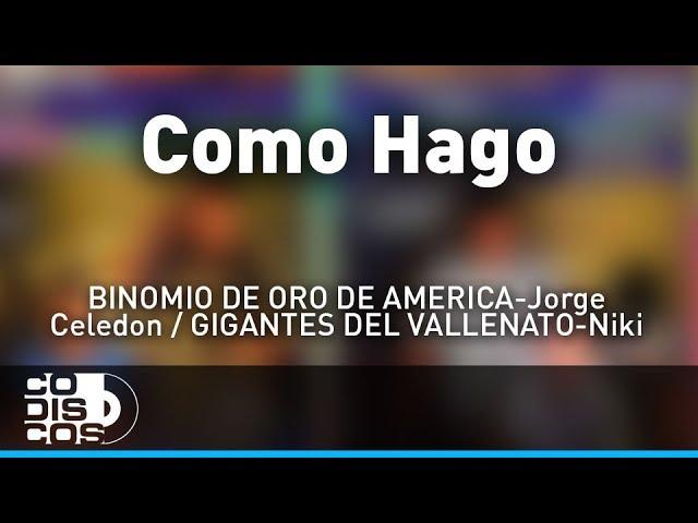 ¿Cómo Hago?, La Combinación Vallenata - Audio