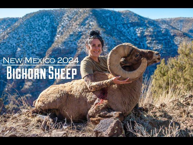 NM Bighorn Sheep Hunt 2024