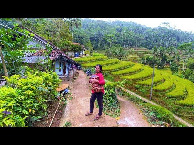 BIKIN BETAH! Suasana Pagi Di Pedesaan, Kampung Yang Indah Ramah Warganya, Pedesaan Sunda Jawa Barat