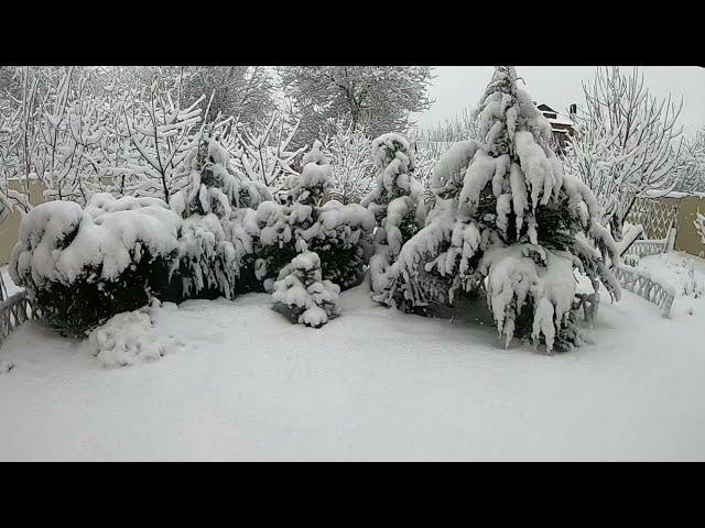 3 я балка с облаков. Волгодонск. Volgodonsk. Relax and fall asleep peacefully at work