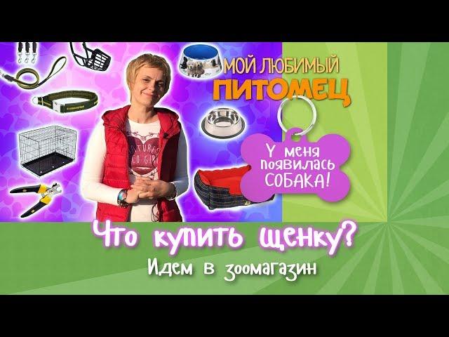 Что нам нужно для щенка? Обзор товаров в зоомагазине.