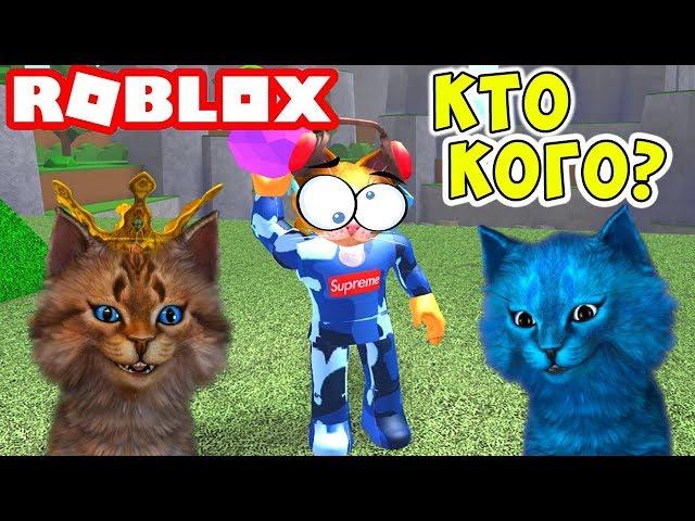 КТО САМЫЙ КРУТОЙ КОТ?! Roblox Cursed Island Котик Игроман и Котёнок Лайк