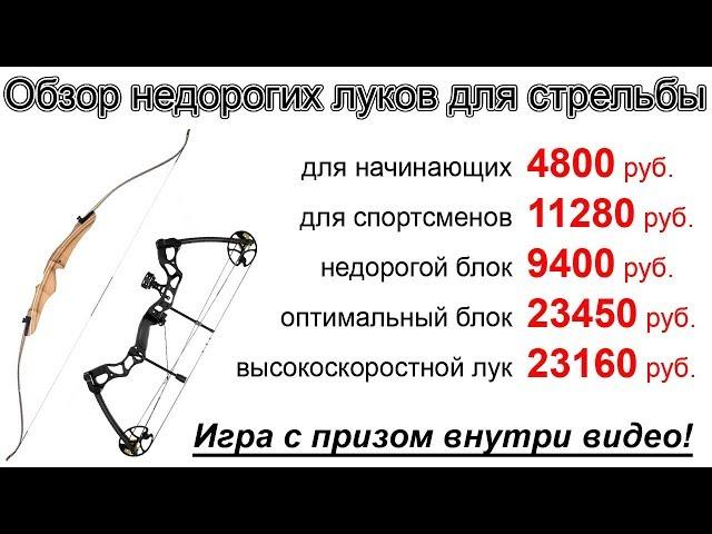 Обзор луков для стрельбы бюджетного класса от 4800 рублей