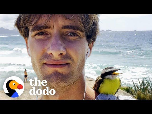 Young Couple Become Parents After Rescuing A Baby Bird | The Dodo