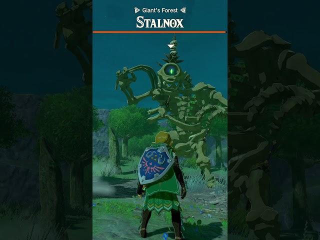 Did you know this about Stalnox in Tears of the Kingdom?