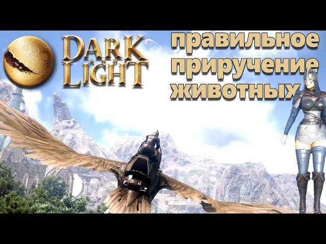 Dark and Light - приручение врока - летающего животного и не только