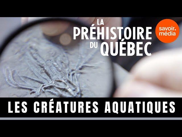 Les créatures aquatiques -  La préhistoire du Québec