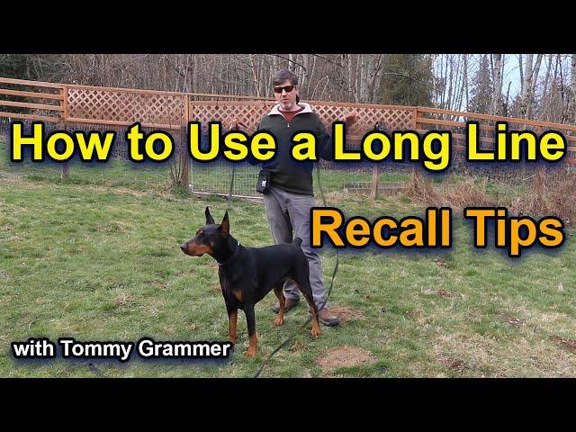 How to use Long Line for Recall