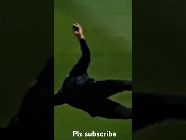 Glenn philips took a brilliant diving catch to send back virat kohli