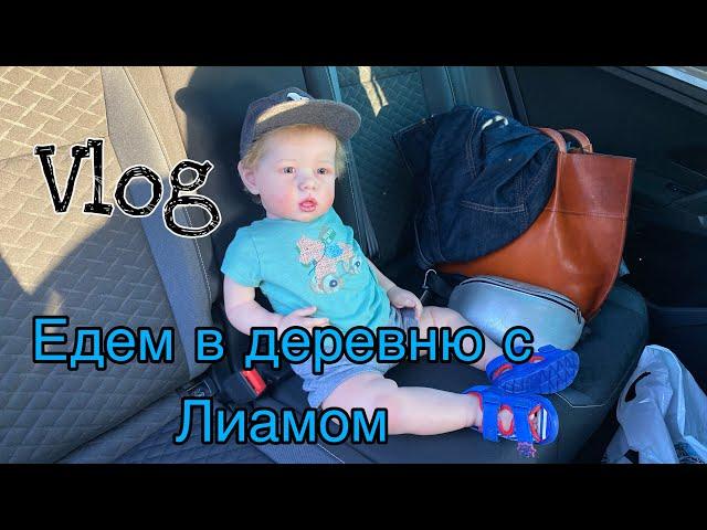 Vlog С Лиамом в деревне | Новости