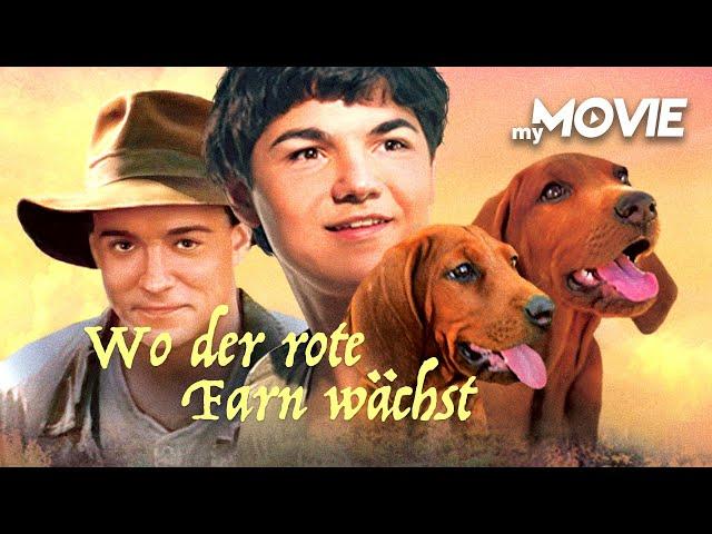 Wo der rote Farn wächst (US-KLASSIKER MIT KRIS KRISTOFFERSON - ganzer Film kostenlos)