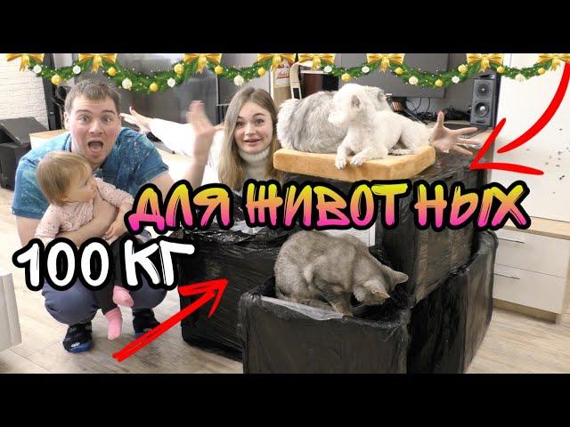 111 КГ ПОДАРКОВ ДЛЯ ЖИВОТНЫХ НА НОВЫЙ ГОД! Что подарить коту и собаке?