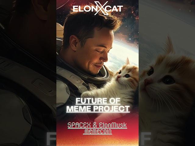 Memes Like Never Before Experience ElonXCat