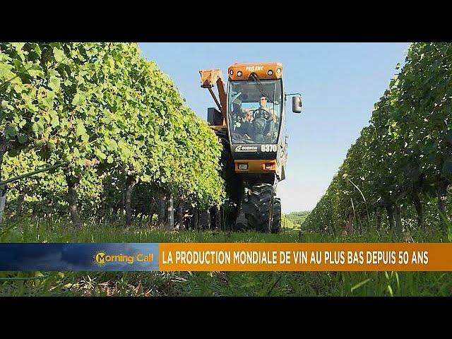 South Africa's increase in wine production [The Morning Call]