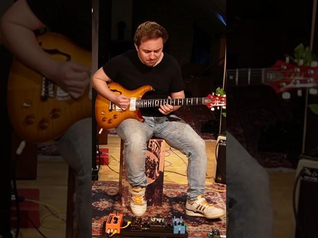 TRIBAL sounds!  this David Grissom PRS growls ️‍ #prs #prsguitar #davidgrissom #guitardemo #gsn